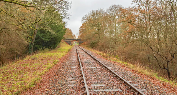 Leaves on the line? Frozen track? How TP Matrix’s electronic repairs prevent wheel slide